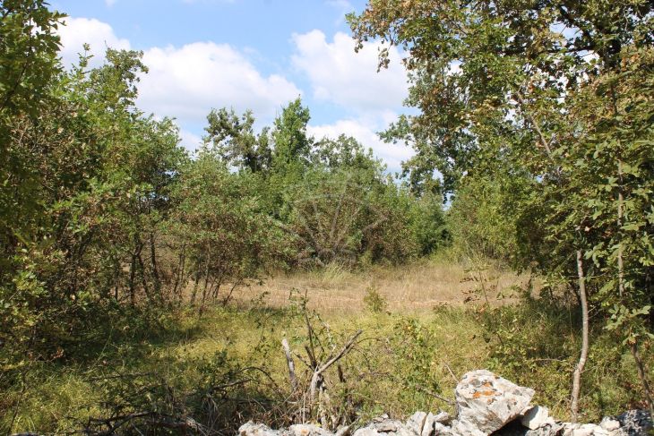 Poljoprivredno zemljište, Prodaja, Marčana, Orbanići