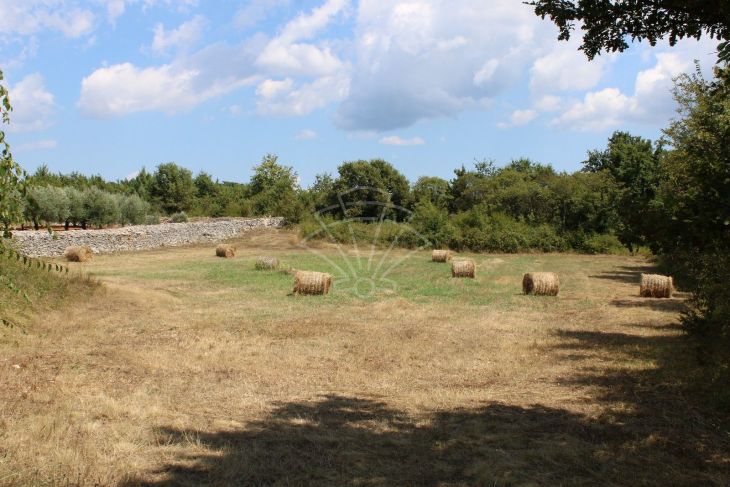 Poljoprivredno zemljište, Prodaja, Marčana, Orbanići