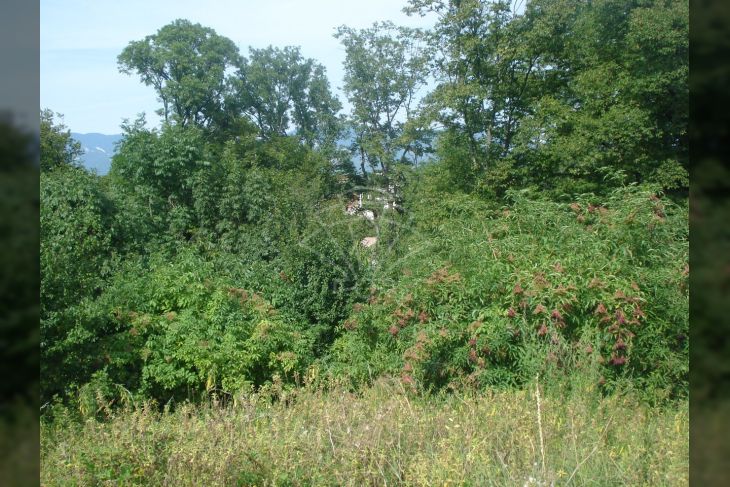 Building land, Sale, Čavle, Čavle