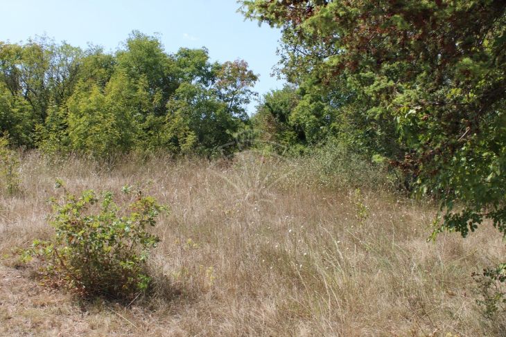 Poljoprivredno zemljište, Prodaja, Marčana, Orbanići