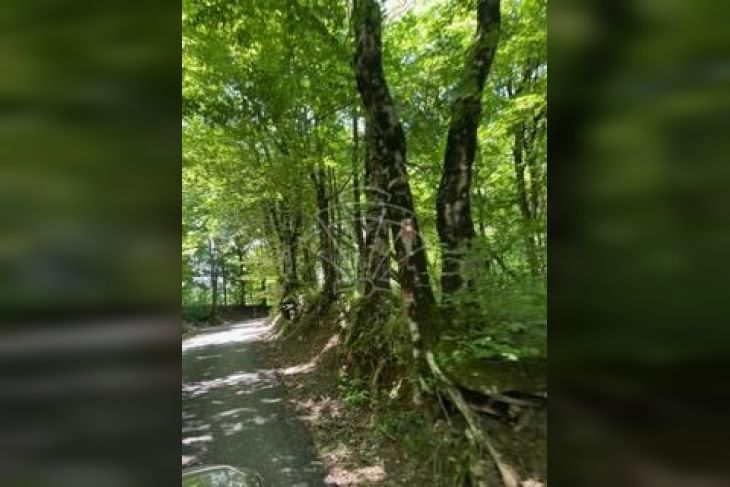 Poljoprivredno zemljište, Prodaja, Jelenje, Baštijani