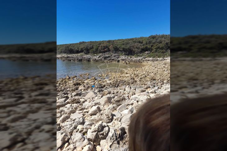 Šuma, Prodaja, Mali Lošinj, Belej