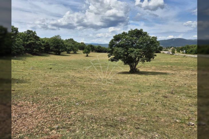 Građevinsko poslovno, Prodaja, Čavle, Podrvanj